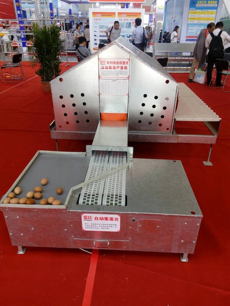 Goldenest Automatic bird nest / chicken nest boxes for laying hens sale