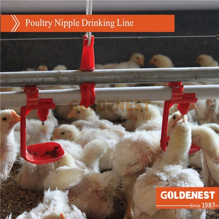 Broiler Automatic Nipple Drinking Line For Poultry Farming