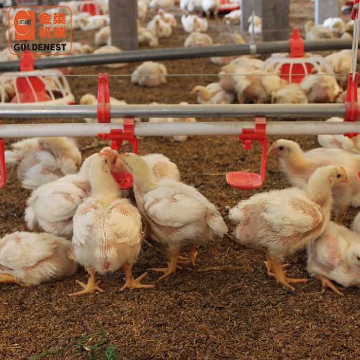 Automatic Nipple Drinking Line Water Drinking System For Poultry Farming Automatic Nipple Drinking Line Water Drinking System For Poultry Farming