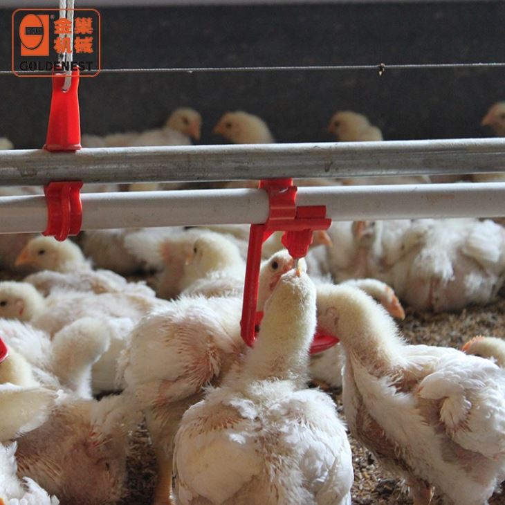 Automatic Nipple Drinking Line Water Drinking System For Poultry Farming Automatic Nipple Drinking Line Water Drinking System For Poultry Farming