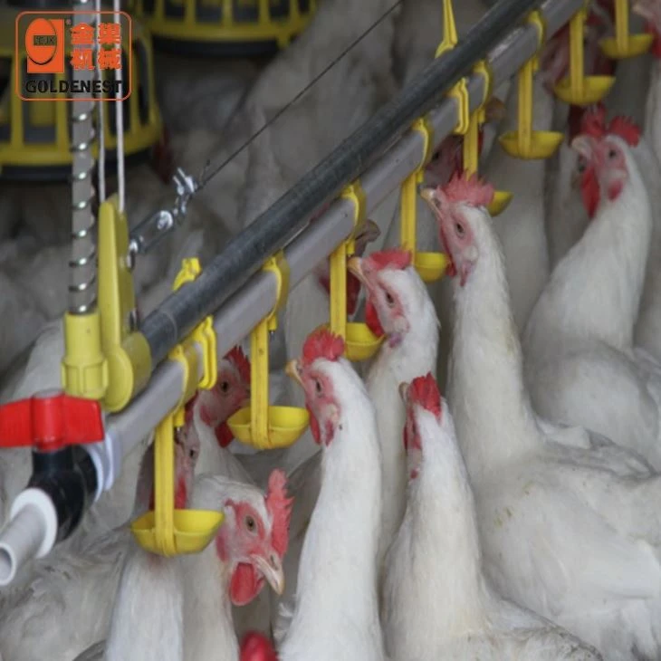 Chicken Automatic Nipple Drinking Line Poultry Water Drinking System